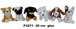 PIES 6 ASST GLOS 20CM