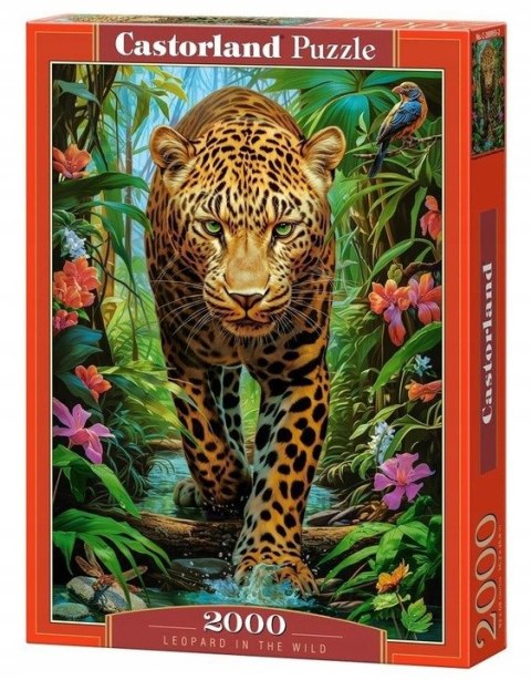 Puzzle 2000 el. Leopard in the Wild