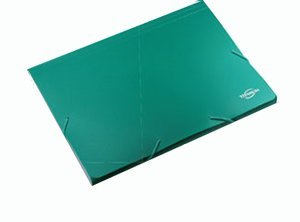 TECZKA Z GUMKA PP A4 30MM 12PRZEGR ZIE FOL
